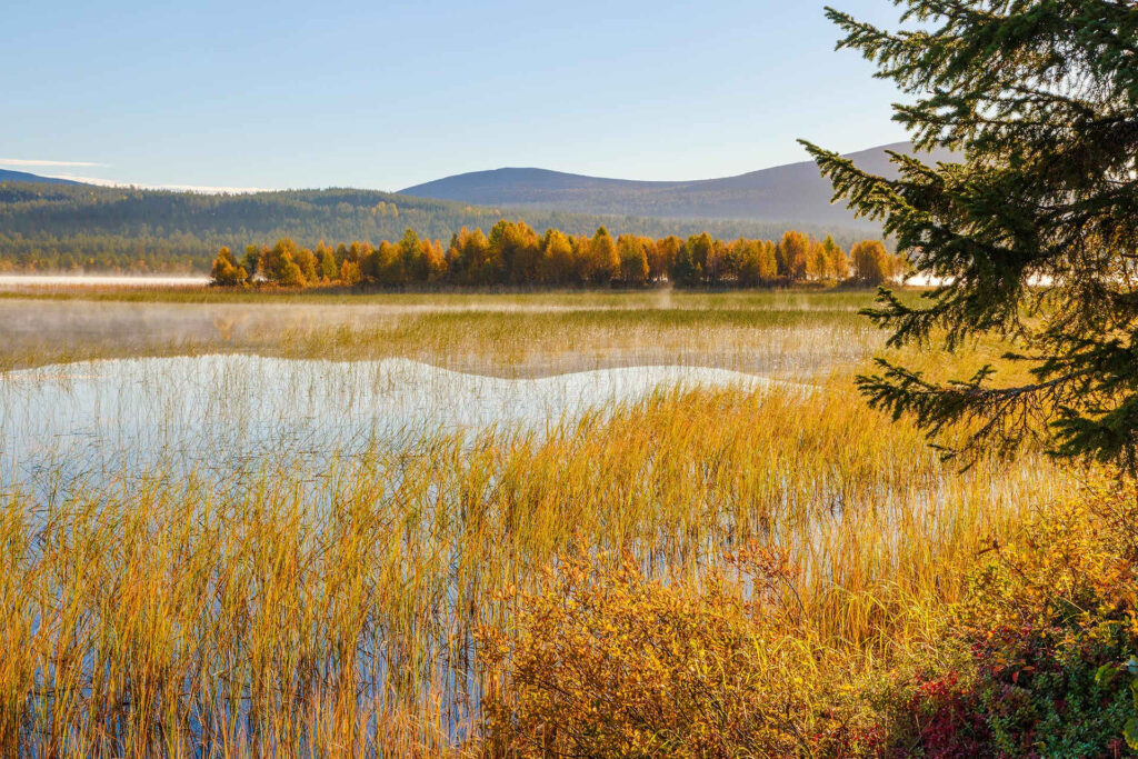 Autumn Colors
