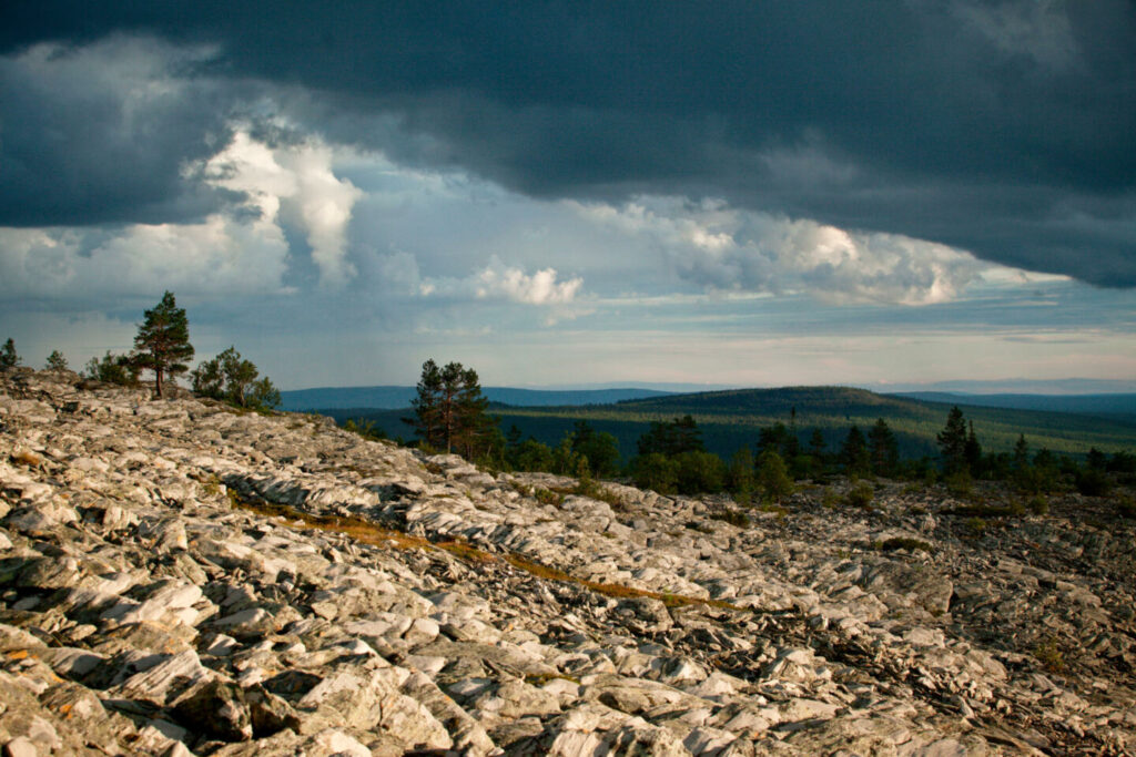 Stone Fields